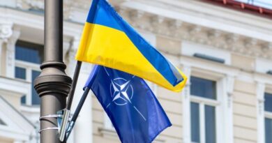 Миротворці в Україні можливі попри позицію РФ - ексглава Штабу стратегічного планування НАТО
